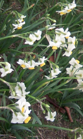 １月が終わります 画像2