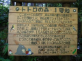 快晴　トトロの森ウォーキング