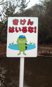 とりあえず、スタート☆ 画像1