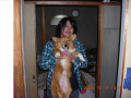 愛犬コーギー！！