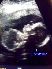放てば手にみてり 画像1
