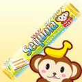 2009年2月25日