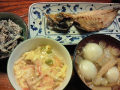 １３日目