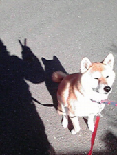 ☆やっと晴れたね(*^^*) 画像1