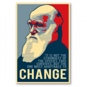 ダーウィン 画像1