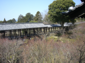 東福寺 画像2