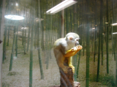 ☆昨日載せたかった写真☆ 画像1