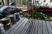 撮影ツアーに生憎の天気 画像2
