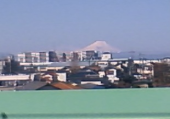 桜前線足踏み状態 画像1