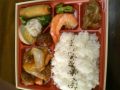 11日目（ちょっと(ToT)