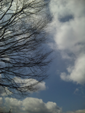雲がモコモコ 画像2