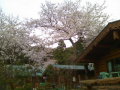 14日目（徳島から土佐へ…）