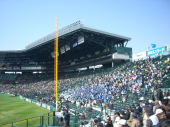 甲子園 画像3