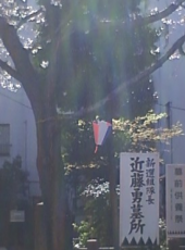 明日からは年度が変わるし 画像1