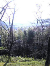 若山神社 画像2