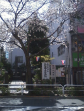 花より団子？ 画像1