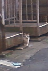 花より団子？ 画像3