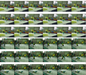 ４月の体操クラブ（チビ） 画像3