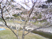 新学期準備。 画像2