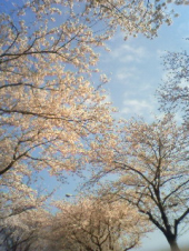 スローライフ 画像1