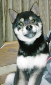 ☆鉄(臭い)の女・・・!Σ( ̄口 ̄;; 画像2