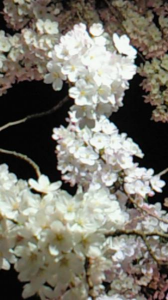 食事の時間 画像1