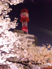 富山に 画像3