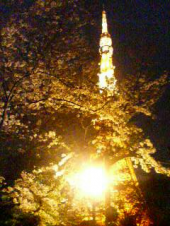 ヘイポーの1 日 画像2