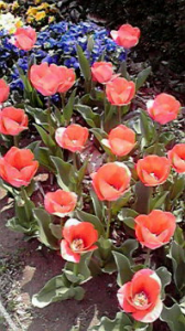 ☆山田君！！どうしちゃったの？？ 画像3