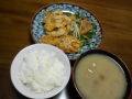 ２０日目（やっぱりお疲れ）