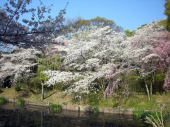 大山崎ＩＣ 画像2