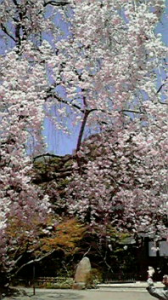 ☆本日は休筋日♪ 画像1