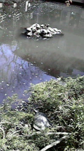 ☆本日は休筋日♪ 画像3