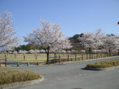 出掛けないと！ 画像1