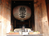 吉野の桜 画像1