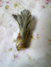 d(*￣(エ)￣*)b ～♪ 画像1