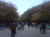 初上野 画像1