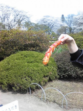 もののふの軍の場(には)に出るとき湯漬けにしくはなしと知るベし 画像3