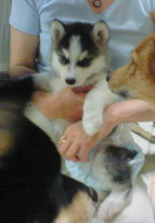 大騒ぎです。。 画像2