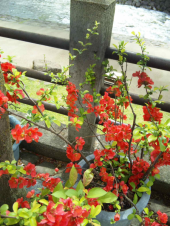 変なお天気～♪ 画像3