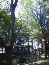 ミュージックベルの演奏会 画像1