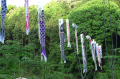 ３日坊主め