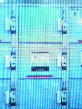 『アヒルと鴨のコインロッカー』 画像3