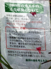 オタマについて。 画像1
