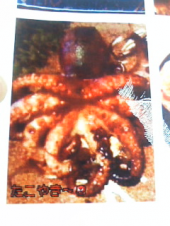 へいはうのならひそのおりいでざるとかたるは己が恥としらずや 画像3