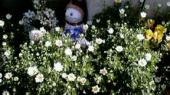 ☆冬から夏へ☆ 画像1