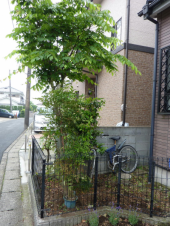やることノート② 画像3