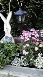 ☆納豆好き?☆ 画像1