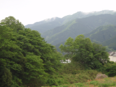 小雨の中を 画像3