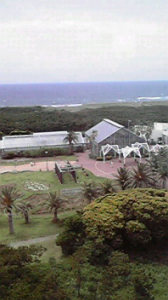 ☆電撃！暴走半島① 画像2